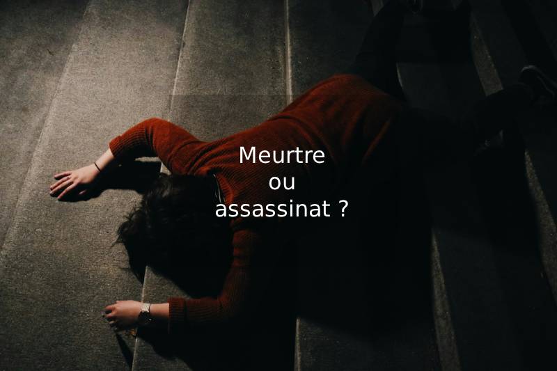 Meurtre ou assassinat : une distinction pénale déterminante